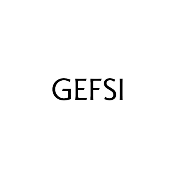 GEFSI